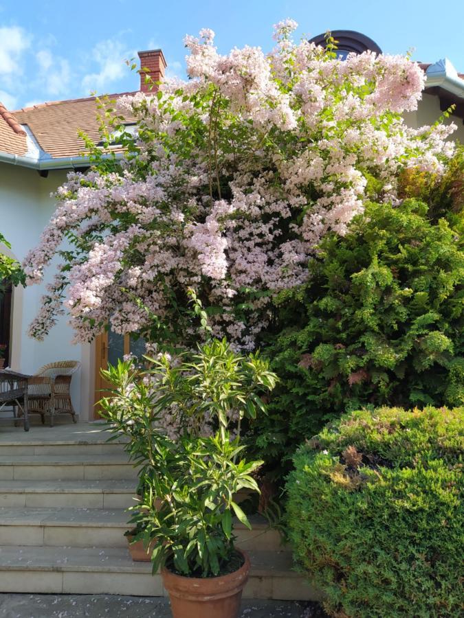 Frutta Villa แชร์สเซกโตไม ภายนอก รูปภาพ